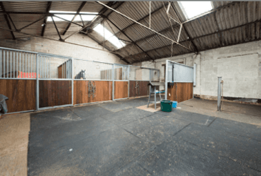 What Facilities Should a Good Livery Yard Have? A Horse Owner’s Essential Checklist
