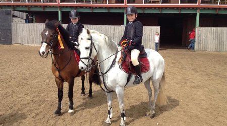 How Livery Yards Maintain Horse Health and Safety