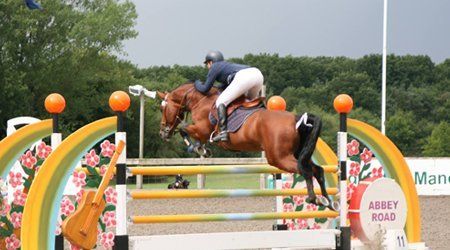 Common Mistakes to Avoid When Choosing Horse Livery